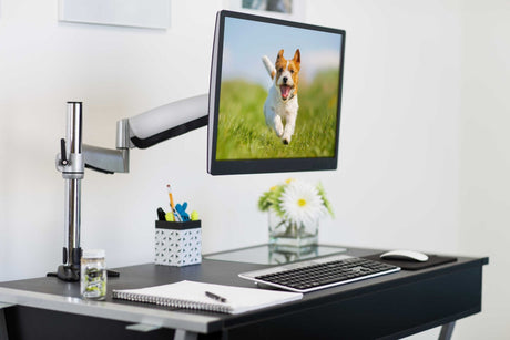 How to Mount a Monitor: A Simple Step-By-Step Guide - Mount-It! How to Mount a Monitor: A Simple Step-By-Step Guide - Mount-It!