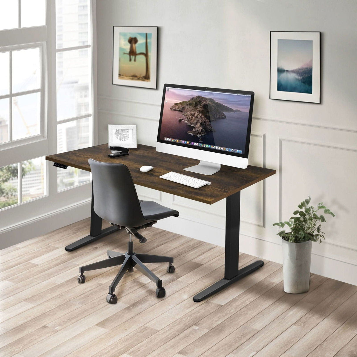 Dual Motor Electric Standing Desk with 55" Tabletop - Black Base Standing Desk - Dual Motor Electric Standing Desk with 55" Tabletop - Black Base - Mount-It! -