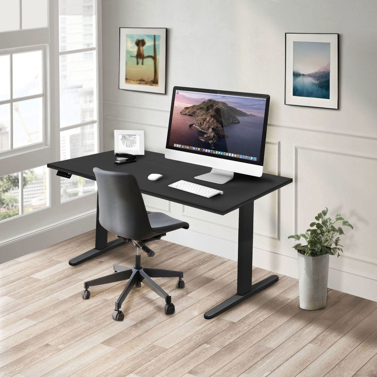 Dual Motor Electric Standing Desk with 55" Tabletop - Black Base Standing Desk - Dual Motor Electric Standing Desk with 55" Tabletop - Black Base - Mount-It! -