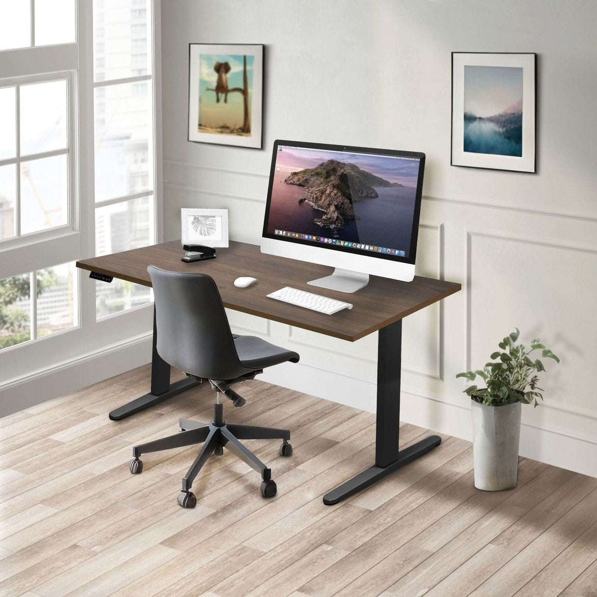 Dual Motor Electric Standing Desk with 55" Tabletop - Black Base Standing Desk - Dual Motor Electric Standing Desk with 55" Tabletop - Black Base - Mount-It! -