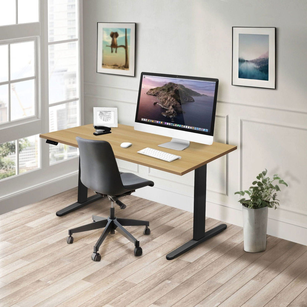 Dual Motor Electric Standing Desk with 55" Tabletop - Black Base Standing Desk - Dual Motor Electric Standing Desk with 55" Tabletop - Black Base - Mount-It! -