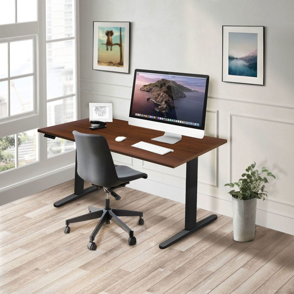 Dual Motor Electric Standing Desk with 55" Tabletop - Black Base Standing Desk - Dual Motor Electric Standing Desk with 55" Tabletop - Black Base - Mount-It! -
