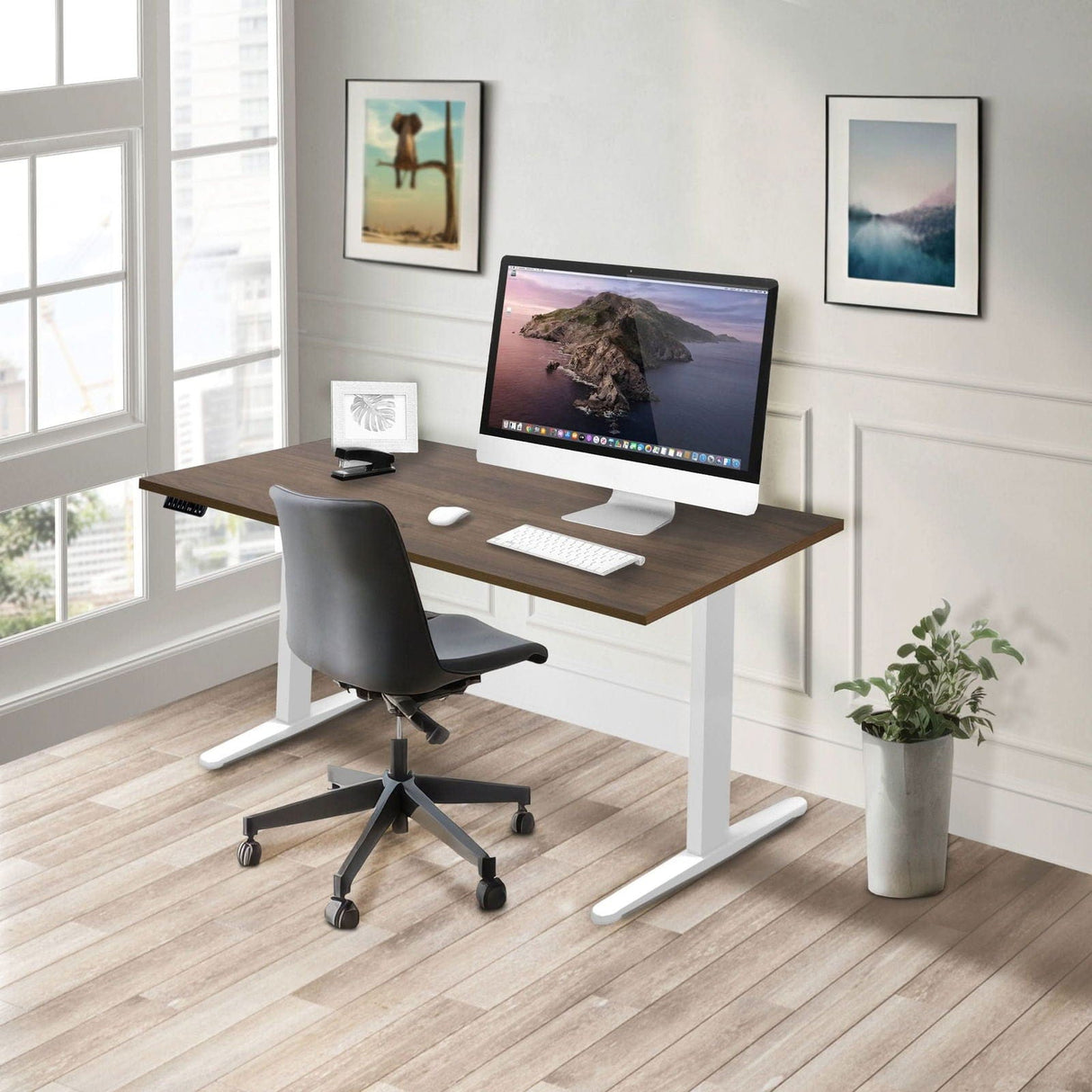 Dual Motor Electric Standing Desk with 55" Tabletop - White Base Standing Desk - Dual Motor Electric Standing Desk with 55" Tabletop - White Base - Mount-It! -