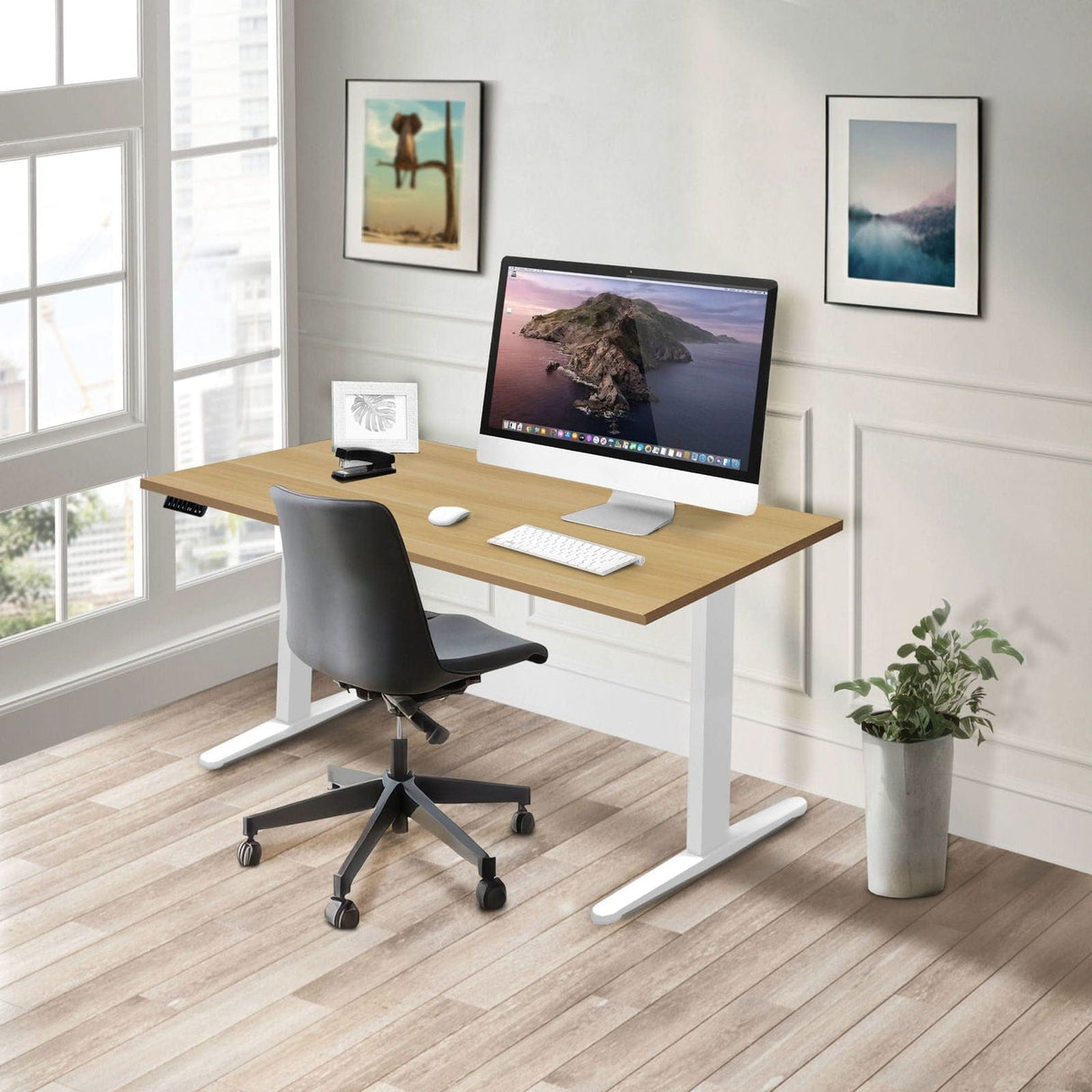Dual Motor Electric Standing Desk with 55" Tabletop - White Base Standing Desk - Dual Motor Electric Standing Desk with 55" Tabletop - White Base - Mount-It! -
