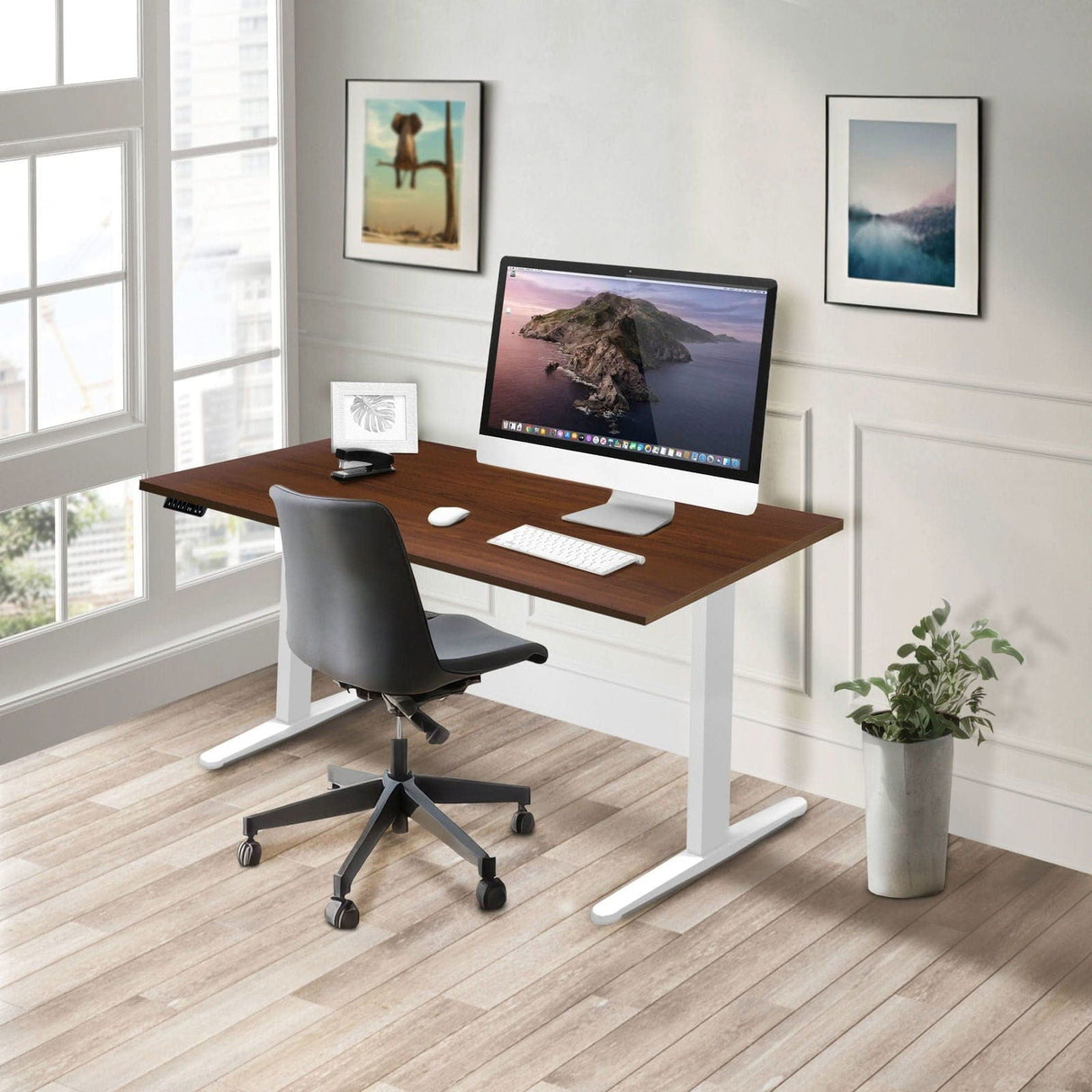Dual Motor Electric Standing Desk with 55" Tabletop - White Base Standing Desk - Dual Motor Electric Standing Desk with 55" Tabletop - White Base - Mount-It! -