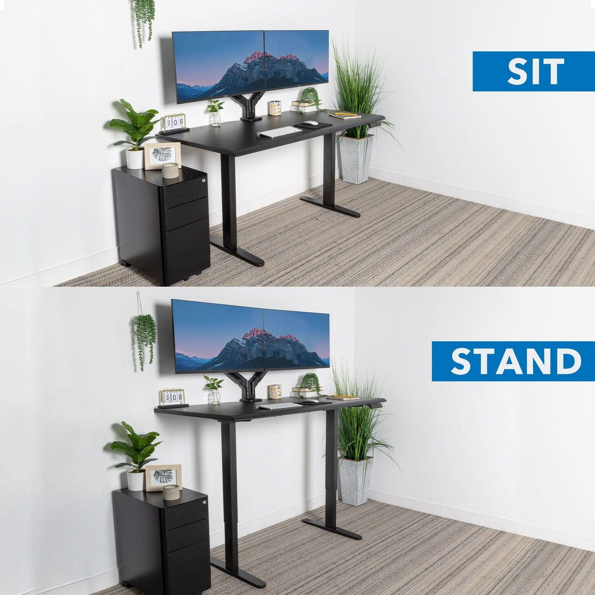 Dual Motor Electric Standing Desk with 60" Tabletop - Black Base Standing Desk - Dual Motor Electric Standing Desk with 60" Tabletop - Black Base - Mount-It! -