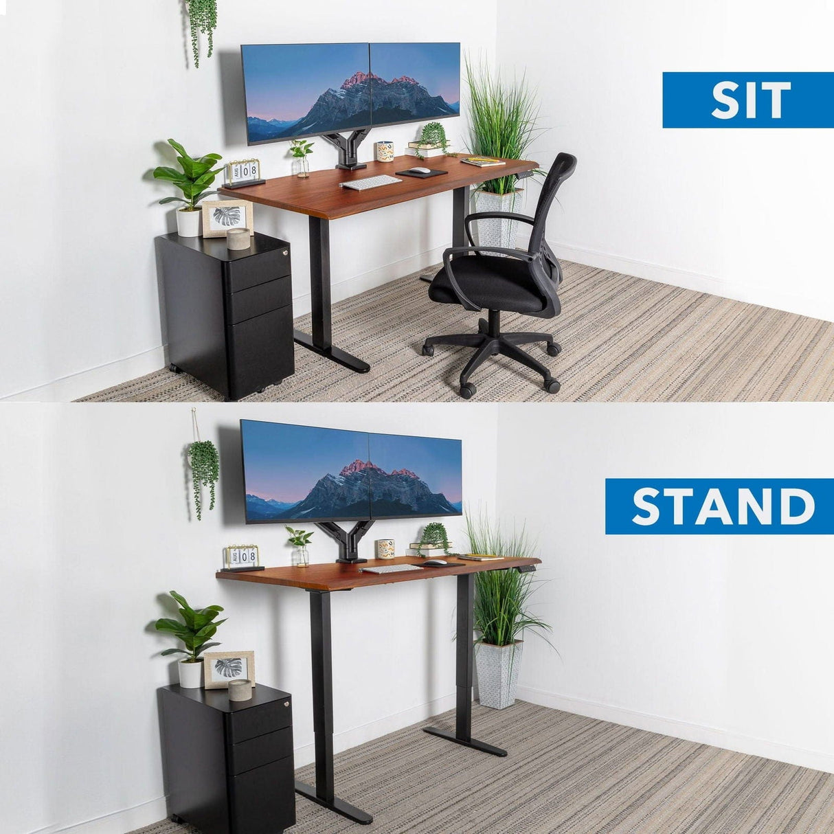 Dual Motor Electric Standing Desk with 60" Tabletop - Black Base Standing Desk - Dual Motor Electric Standing Desk with 60" Tabletop - Black Base - Mount-It! -