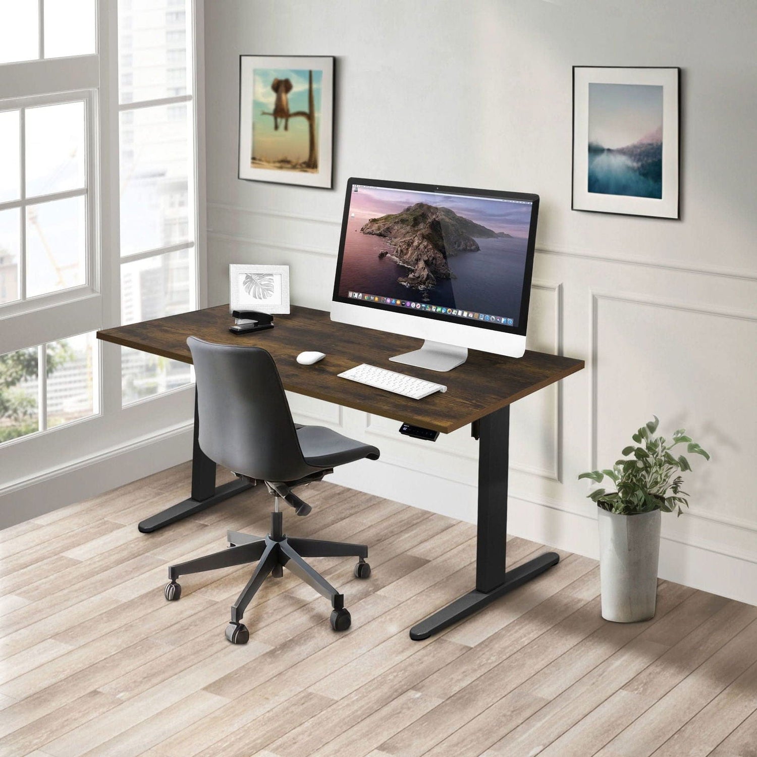 Standing Desk - Electric Standing Desk with 55" Tabletop - Black Base - Mount-It! -