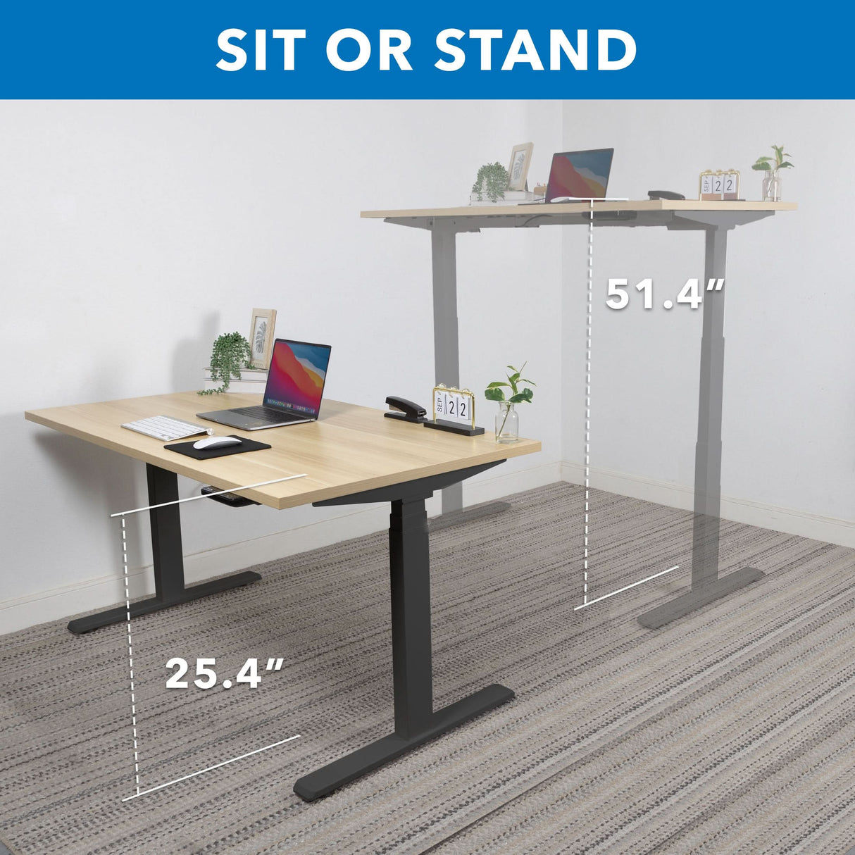 Ultimate Dual Motor Electric Standing Desk with 55" Tabletop Standing Desk - Ultimate Dual Motor Electric Standing Desk with 55" Tabletop - Black Base - Mount-It! -