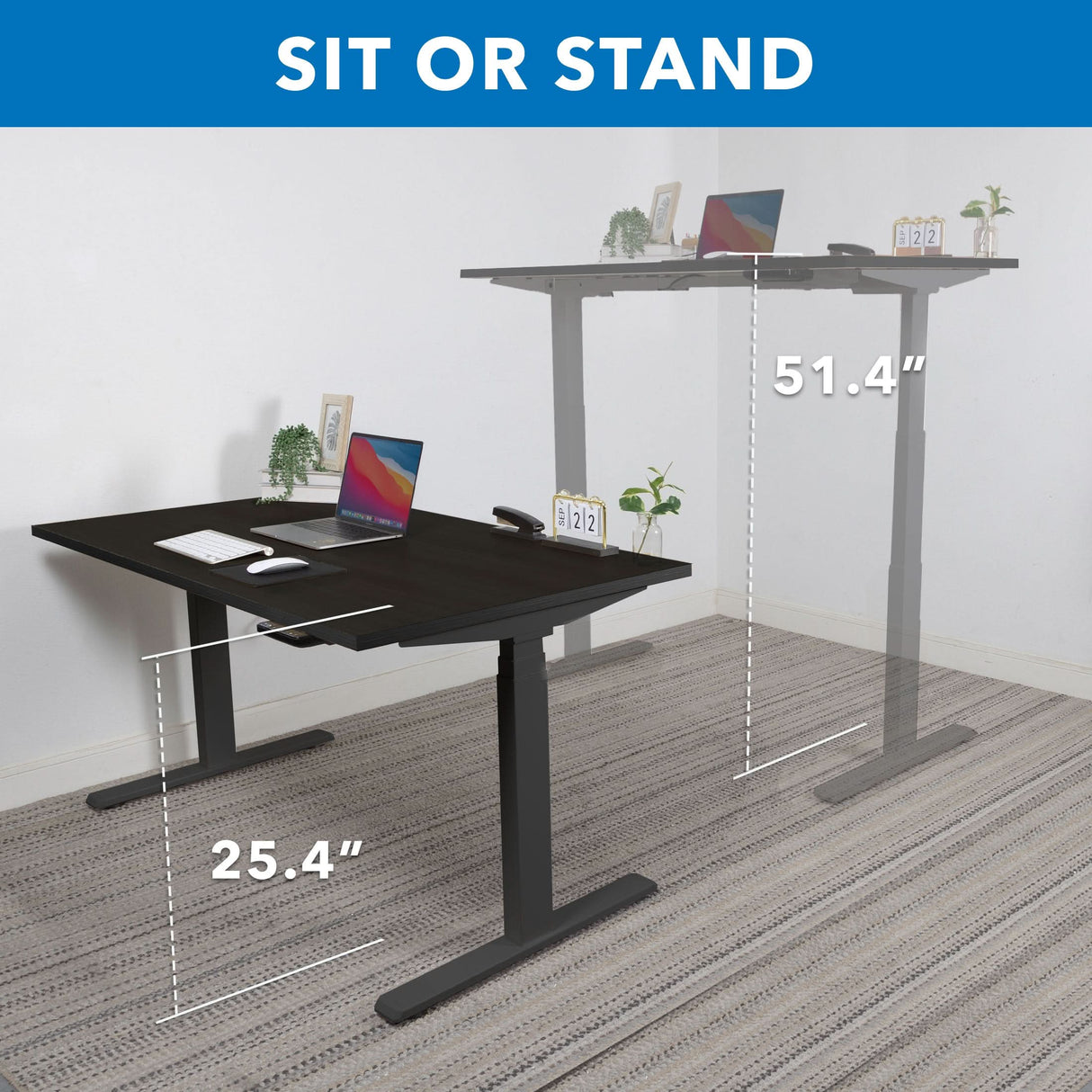Ultimate Dual Motor Electric Standing Desk with 55" Tabletop Standing Desk - Ultimate Dual Motor Electric Standing Desk with 55" Tabletop - Black Base - Mount-It! -