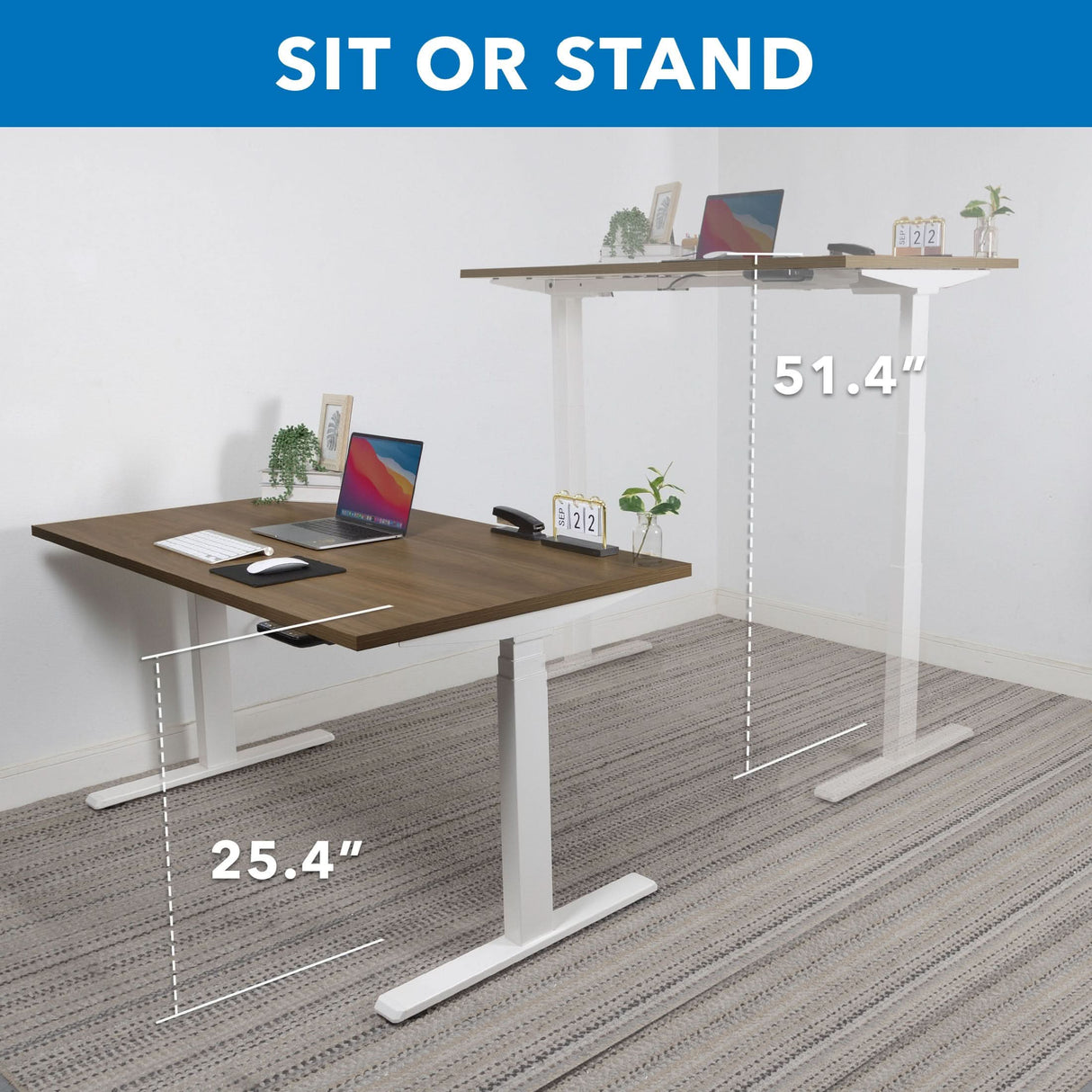 The Mount-It! Ultimate Dual Motor Electric Standing Desk with 55" Tabletop adjusts from 25.4" sitting to 51.4" standing, shown with laptop, monitor, plant, and clock. Text: SIT OR STAND for an ergonomic workspace.