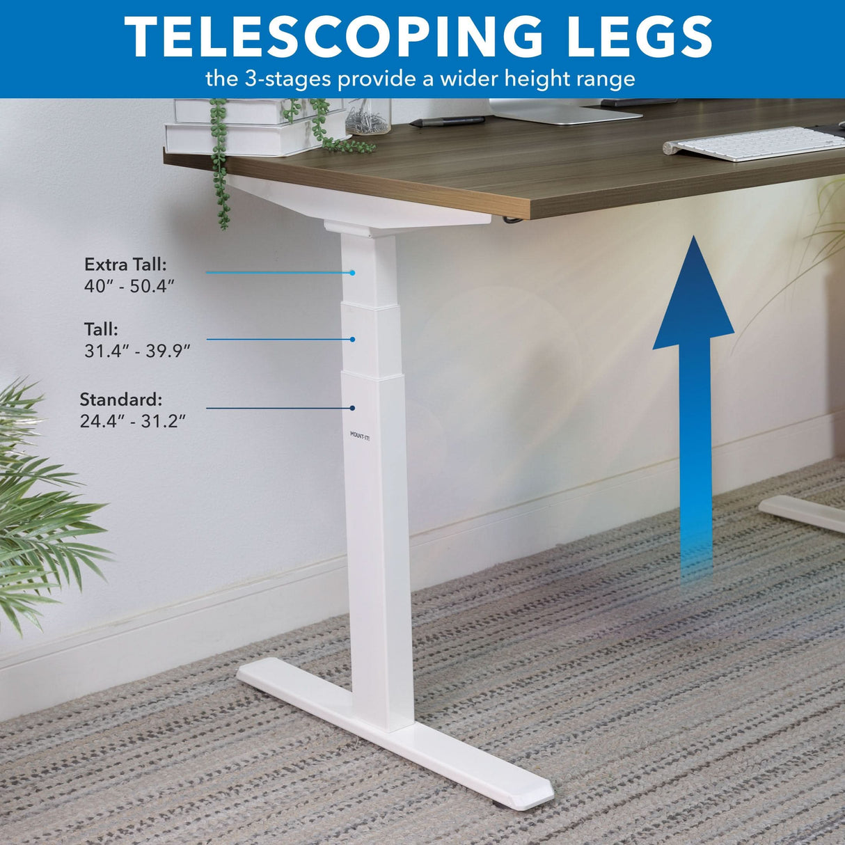 The Mount-It! Ultimate Dual Motor Electric Standing Desk with 55" tabletop features a white telescoping leg extending from carpet, demonstrating adjustable height ranges: Standard (24.4–31.2"), Tall (31.4–39.9"), and Extra Tall (40–50.4").