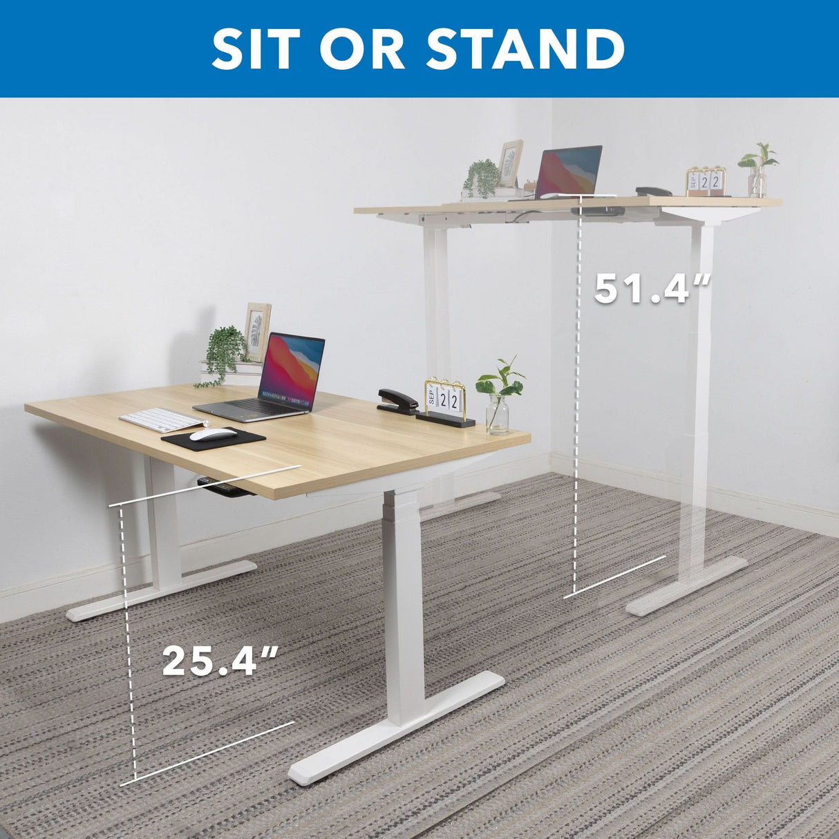 Two Mount-It! Ultimate Dual Motor Electric Standing Desks with 55" tabletops are side by side—one at 25.4" sitting height, one at 51.4" standing height—with laptops, plants, and office items. The text reads: SIT OR STAND.