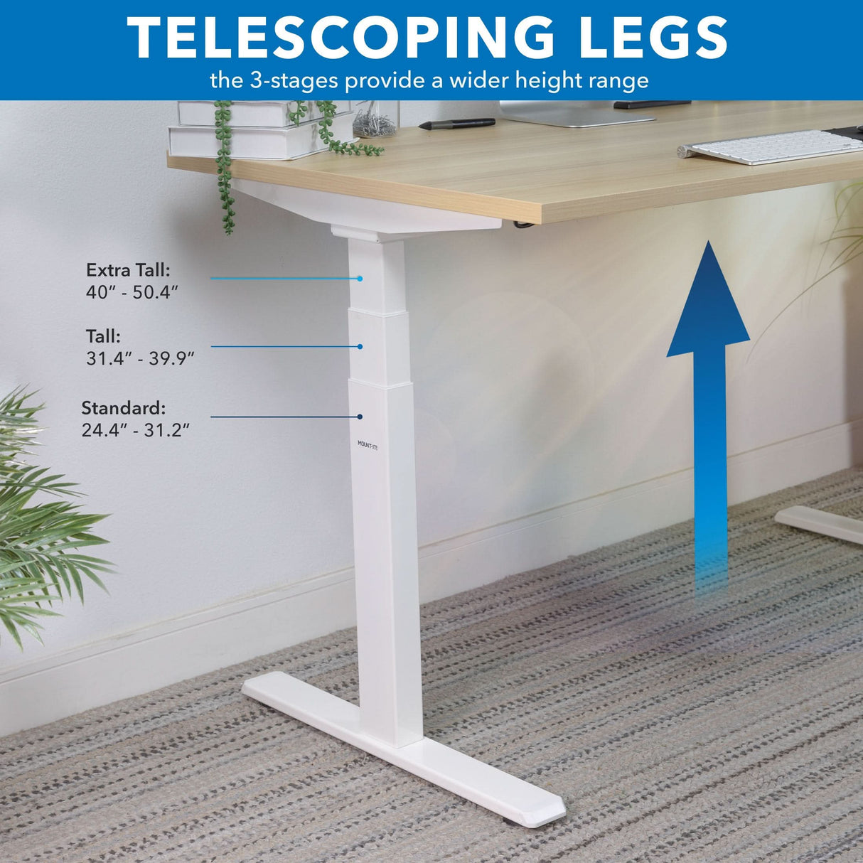 An ergonomic workspace shows the Mount-It! Ultimate Dual Motor Electric Standing Desk with 55" tabletop and white telescoping legs. Blue lines display sit-stand height ranges: Standard (24.4–31.2), Tall (31.4–39.9), Extra Tall (40–50.4).
