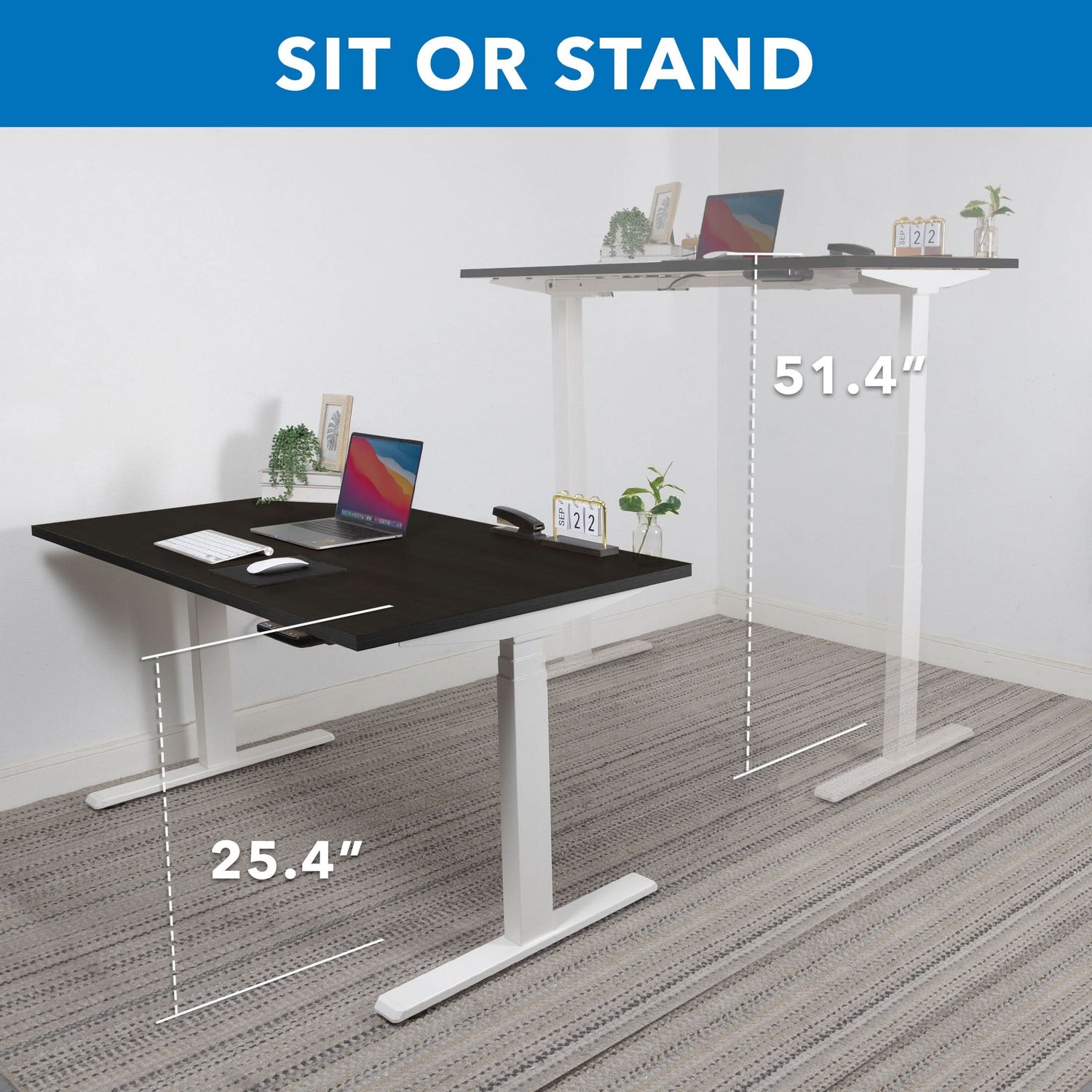 Ultimate Dual Motor Electric Standing Desk with 55" Tabletop