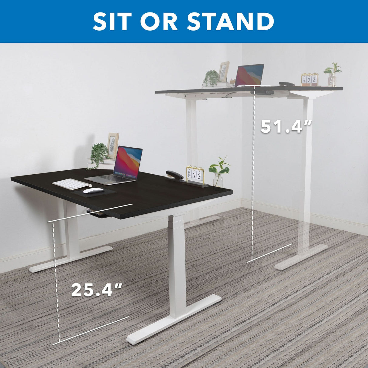 Image showing the Mount-It! Ultimate Dual Motor Electric Standing Desk with 55" tabletop at 25.4" (sitting) and 51.4" (standing), featuring monitor, keyboard, mouse, plant, clock on carpet and "SIT OR STAND" text above.