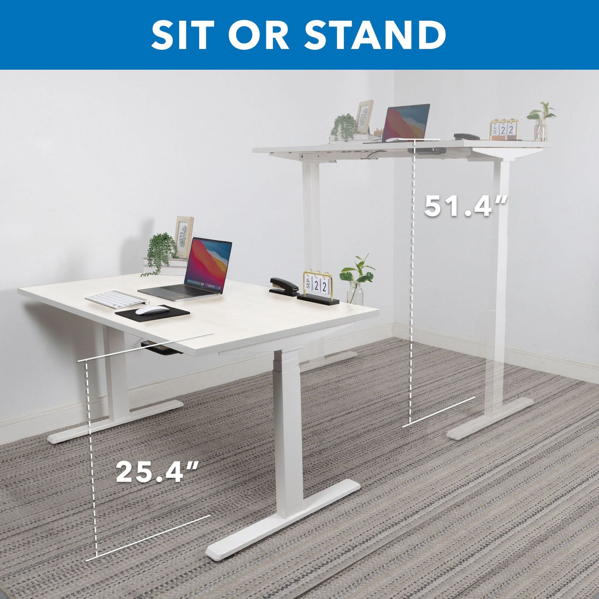 Two Mount-It! Ultimate Dual Motor Electric Standing Desks with 55" tabletops are shown—one at 25.4" (sitting), one at 51.4" (standing)—each set up for work. Text above reads SIT OR STAND. Experience ergonomic comfort with these sit-stand desks.