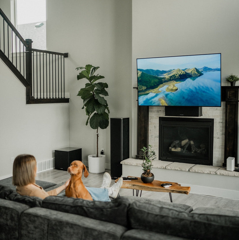 TV Mount: Make the Most of Your Living Space - Mount-It!