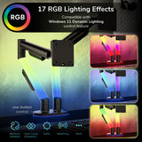 Dual Monitor Mount with RGB Lighting