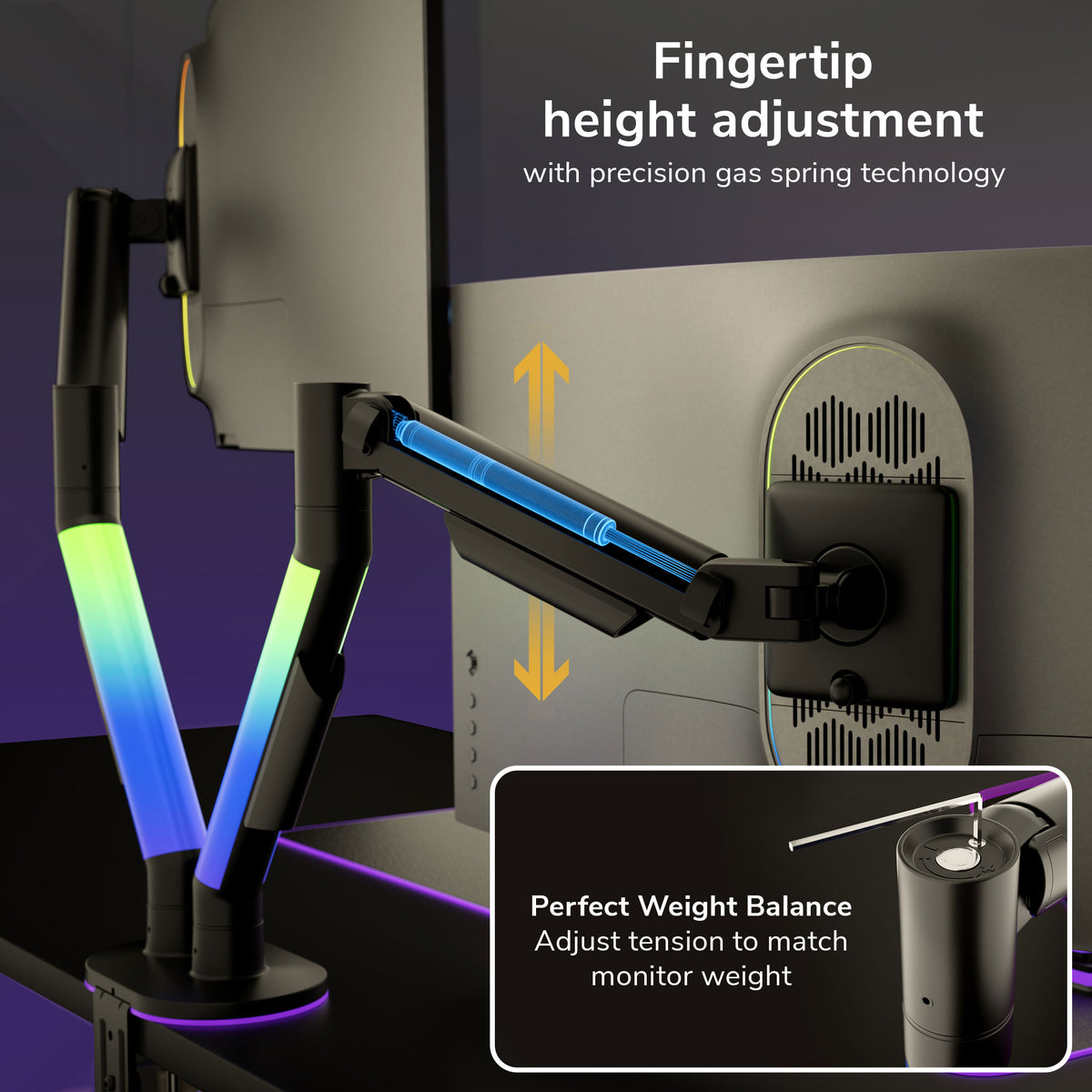 Dual Monitor Mount with RGB Lighting