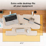 Large Standing Desk Converter with 47" Desktop