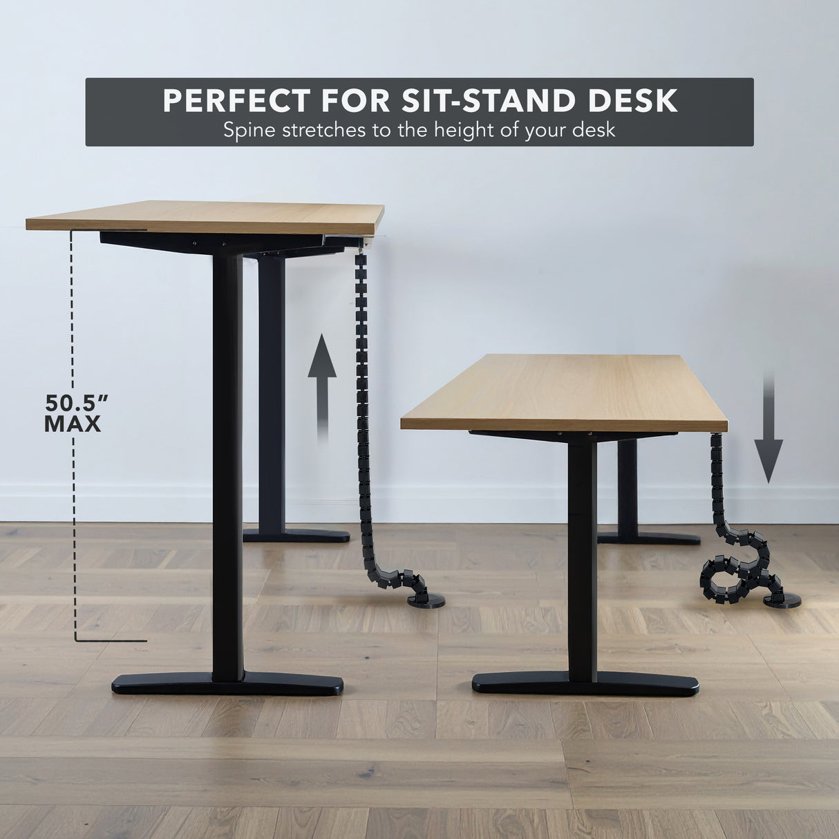 Cable Management Spine installed on two adjustable sit-stand desks, showing flexible snap-together segments extending up to 50.5 inches to neatly organize and protect cables from floor to desk surface, demonstrating height adjustability and strain relief for various cable types in an office setup.