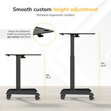 Sit-Stand Mobile Laptop Cart
