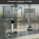 Heavy Duty Mobile TV Cart