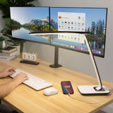Turcom Relaxalight LED Desk Lamp