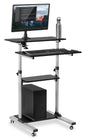 Mobile Standing Desk - Rolling Computer Work Station with Monitor Mount - Mount-It! -