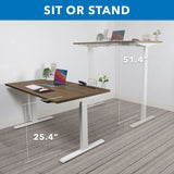 Ultimate Dual Motor Electric Standing Desk with 55" Tabletop
