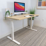 Ultimate Dual Motor Electric Standing Desk with 55" Tabletop