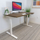Ultimate Dual Motor Electric Standing Desk with 55" Tabletop