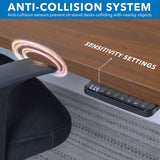 Ultimate Dual Motor Electric Standing Desk with 55" Tabletop