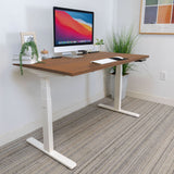 Ultimate Dual Motor Electric Standing Desk with 55" Tabletop
