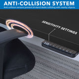 Ultimate Dual Motor Electric Standing Desk with 55" Tabletop