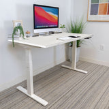 Ultimate Dual Motor Electric Standing Desk with 55" Tabletop